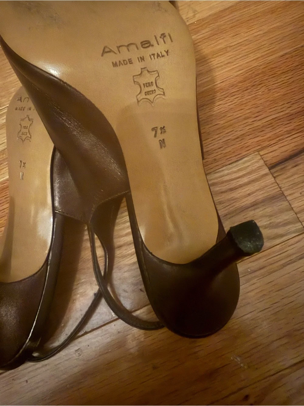 Amalfi Chocolate Brown Pointed Slingback Pumps